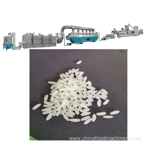 Enriched Artificial Fortified Nutritional Rice Plant